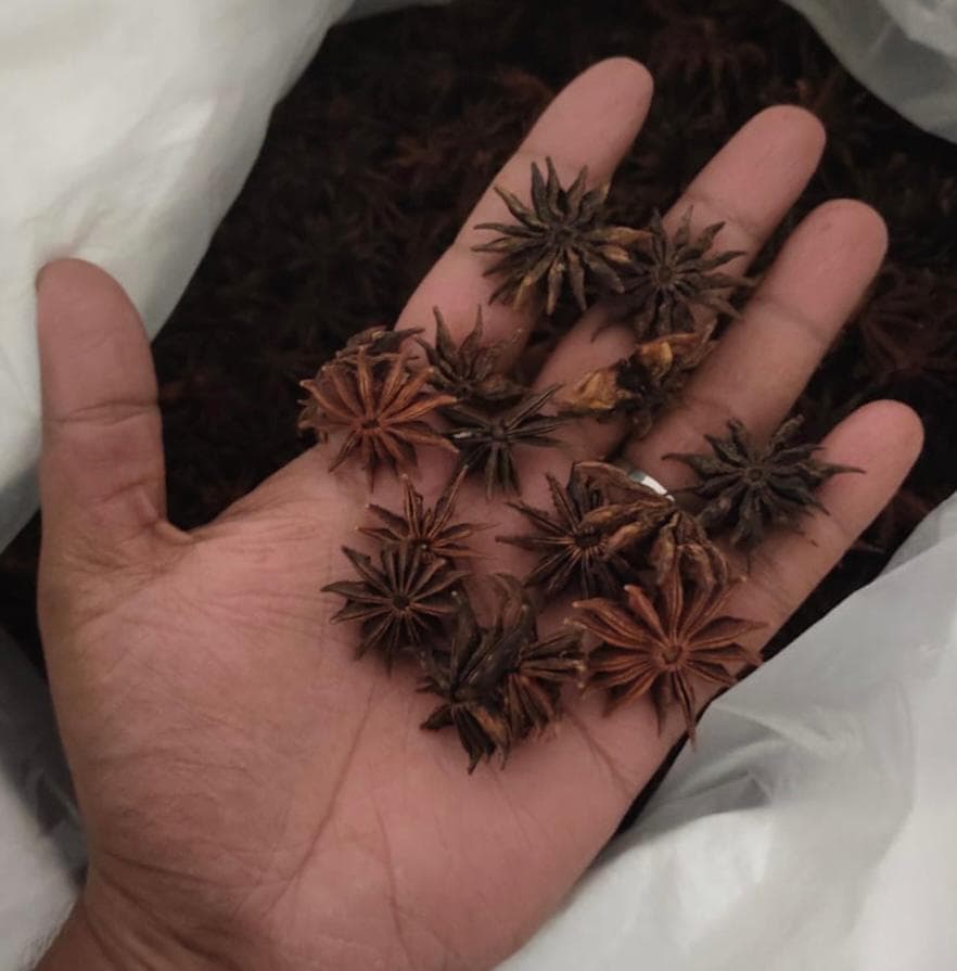 Star Anise