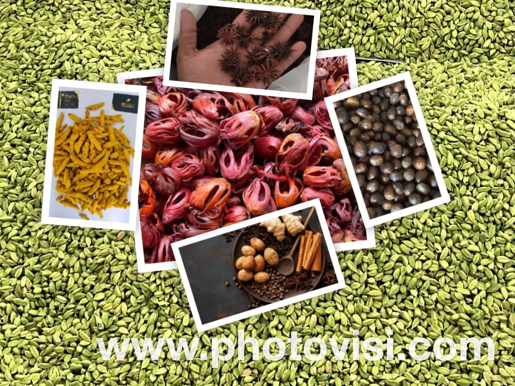 Contact Us - Spices