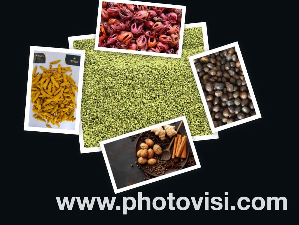 Premium Spices Collection